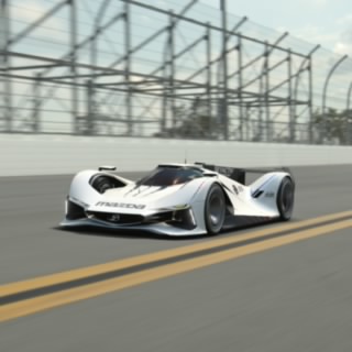 Salamander0902