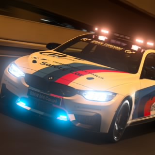 Le pilote