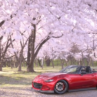 S-HARADA