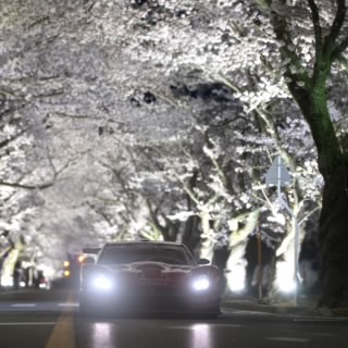 王子