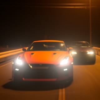Raven