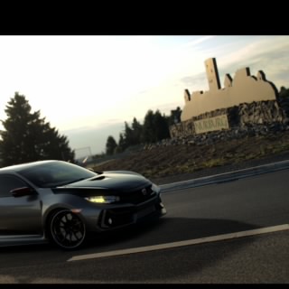 CTR_NL81
