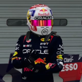 The Stig