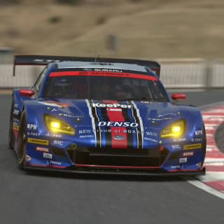 Rallyhog5