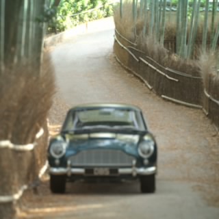 icon1c