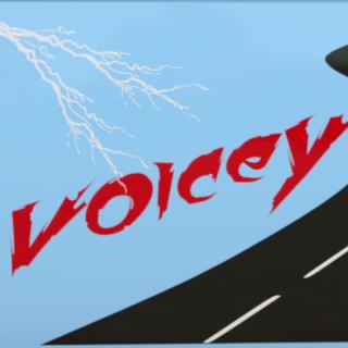 Voicey