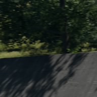 Rubbins_raccin