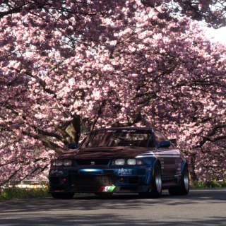 Bruss_AMG-15