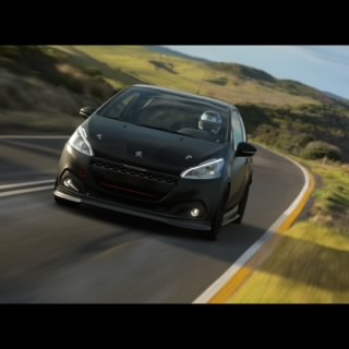 Sem308GT