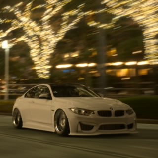 zane