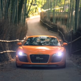 Kurama