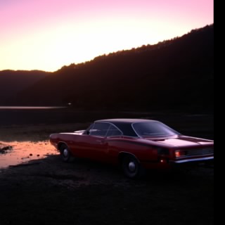 TheTexasTickler