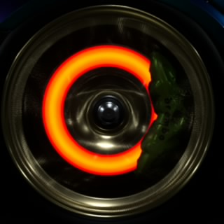 Chris359zX