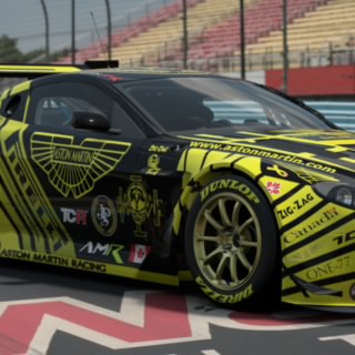TCR Bearded_Õwl