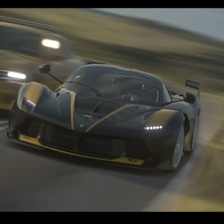 Gattino feroce 2