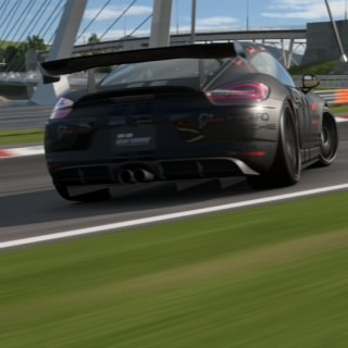Oli_8310