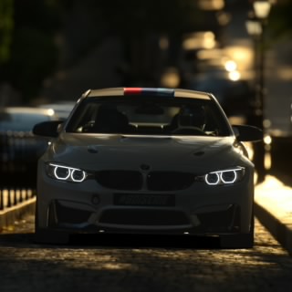 Seb loeb