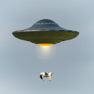 kotappi226