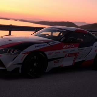 Voleman69