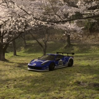 Scuti Eight