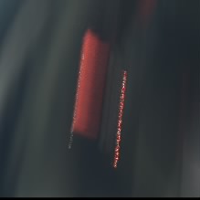 epic_null_net