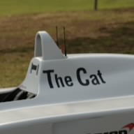The Cat