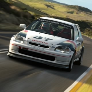 Gatofiestas7