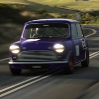 Rattus