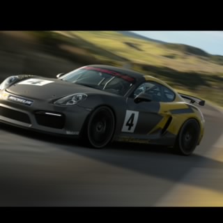Hoonicorn 917
