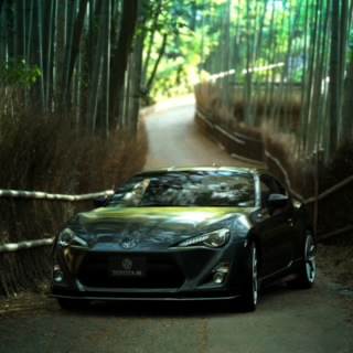 shigekix.