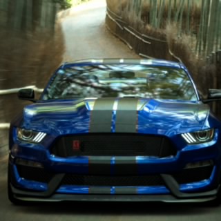 MrBlackHunter_95