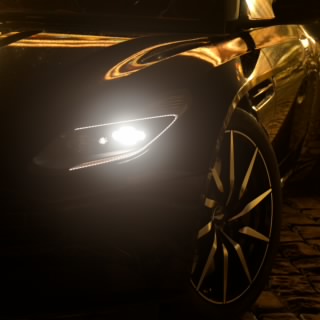 الهامستر