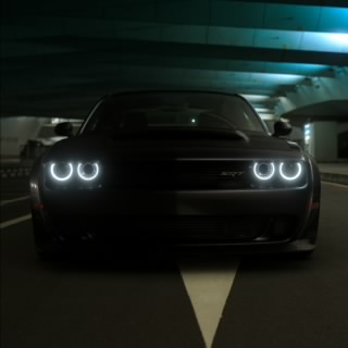 تـــركـــي