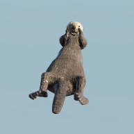 LIN