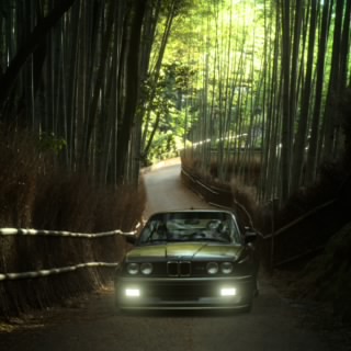 LightSpeed