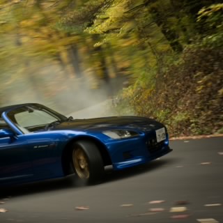 mukk.supra