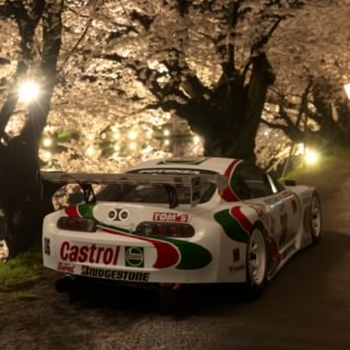 T.Wakayama