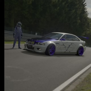 Stunt dog