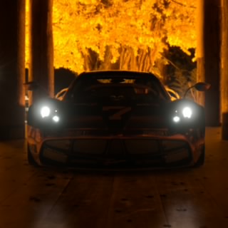 Shake