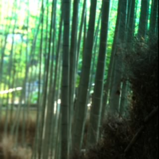 KitaKana