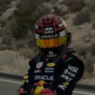 M. Verstappen
