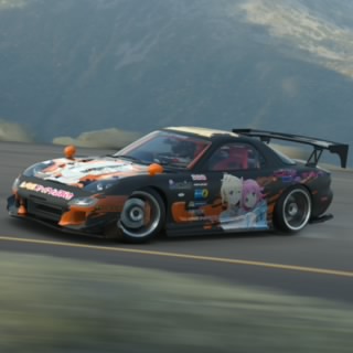 Zio_530