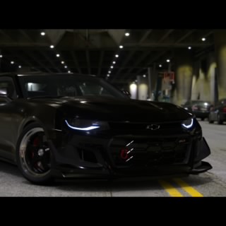 Ls3_Ape