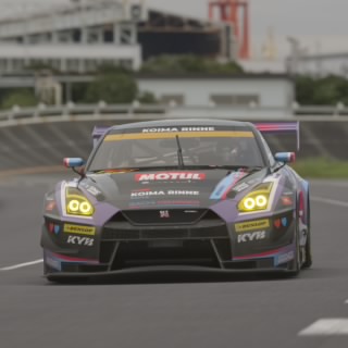けもけも