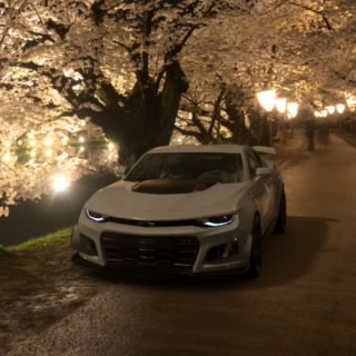 Endriu81