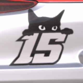 15LuckySockss