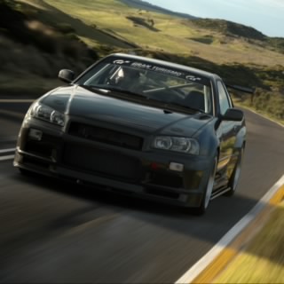 Racebreed