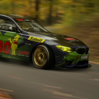 teamsah31
