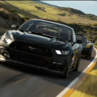 TheExx45