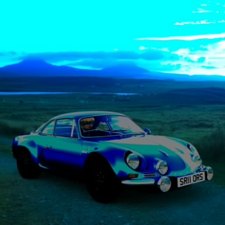 TheRacingSeal